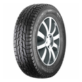 Nokian WR C3 225/75R16C 121/120R